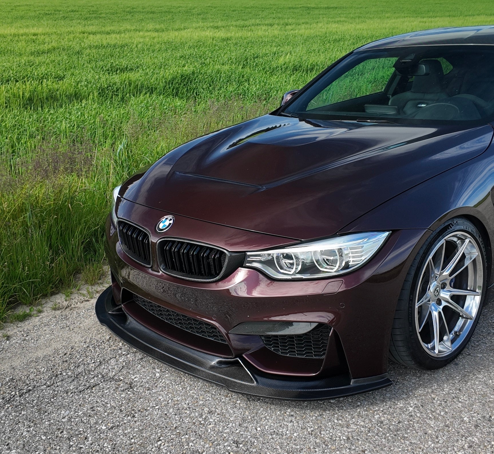 Carbon Frontlippe V10 passend für BMW M4 F82 M3 F80